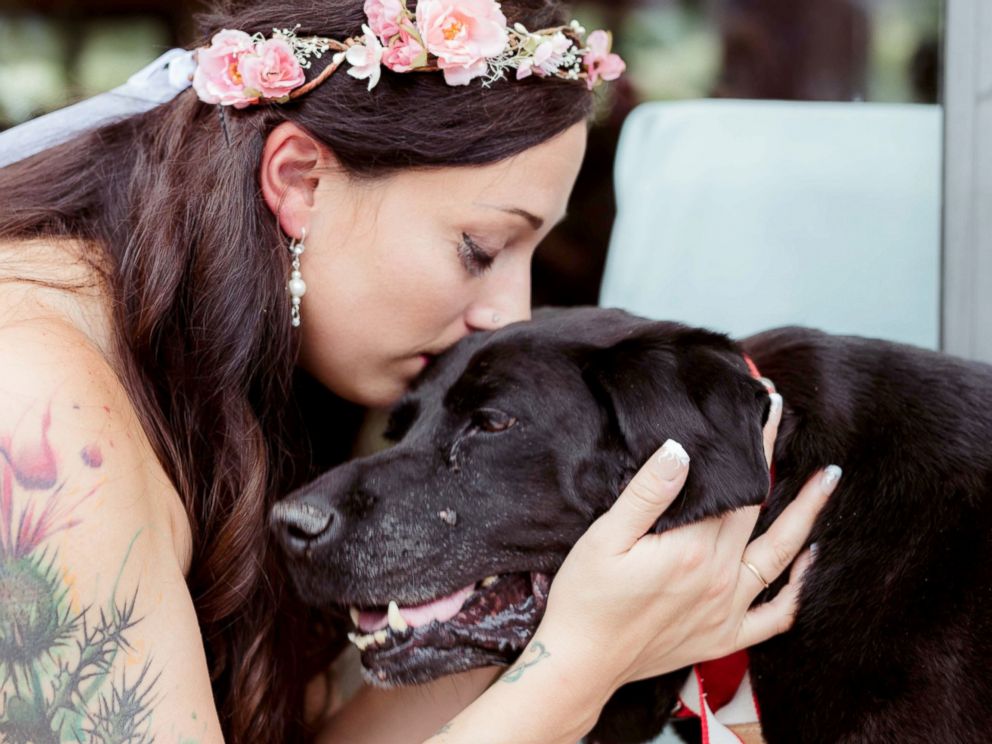 FOTO: Il 1 ° settembre, damigella d'onore Katie Lloyd effettuata Charlie Orso, 15, le sue sorelle morenti cane, lungo il corridoio durante il suo matrimonio in Buena Vista, Colorado. 