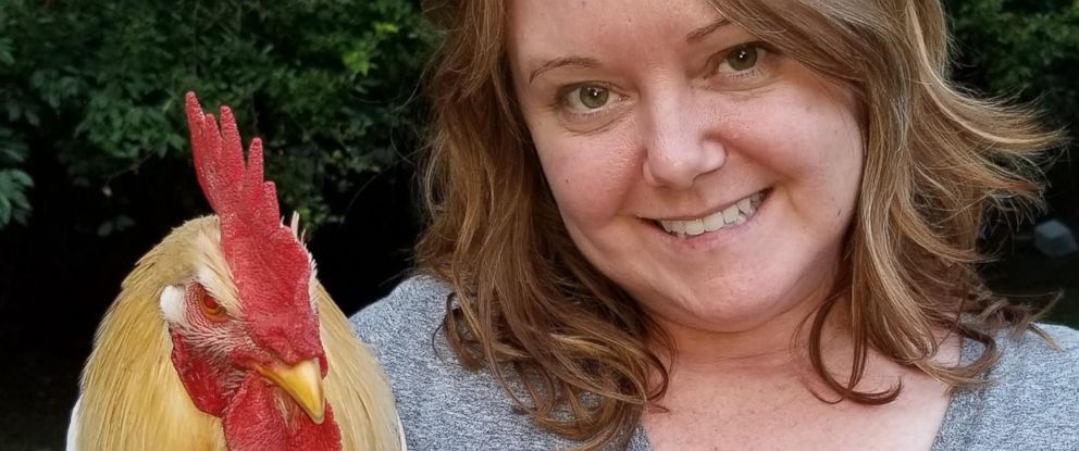 Woman posts hilarious plea for someone to adopt her 'obnoxious' rooster ...