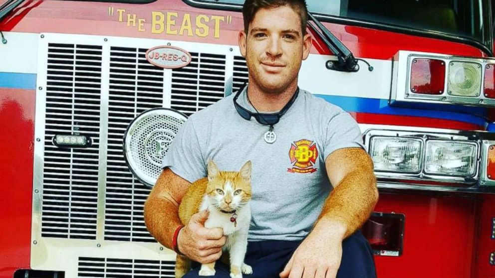 Firefighters rescue stray cat named Flame before realizing he actually ...