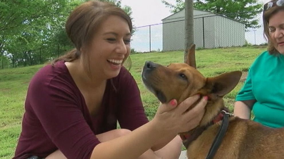 Dog Reunited With Owner After 3 State, 4-Month Journey - ABC News