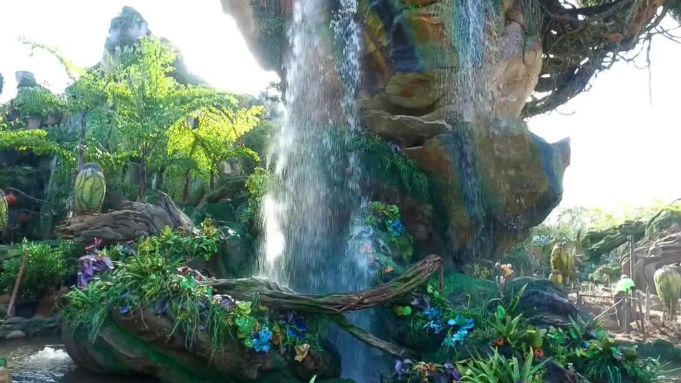 First look at Disney World's Pandora -- The World of Avatar Video - ABC ...