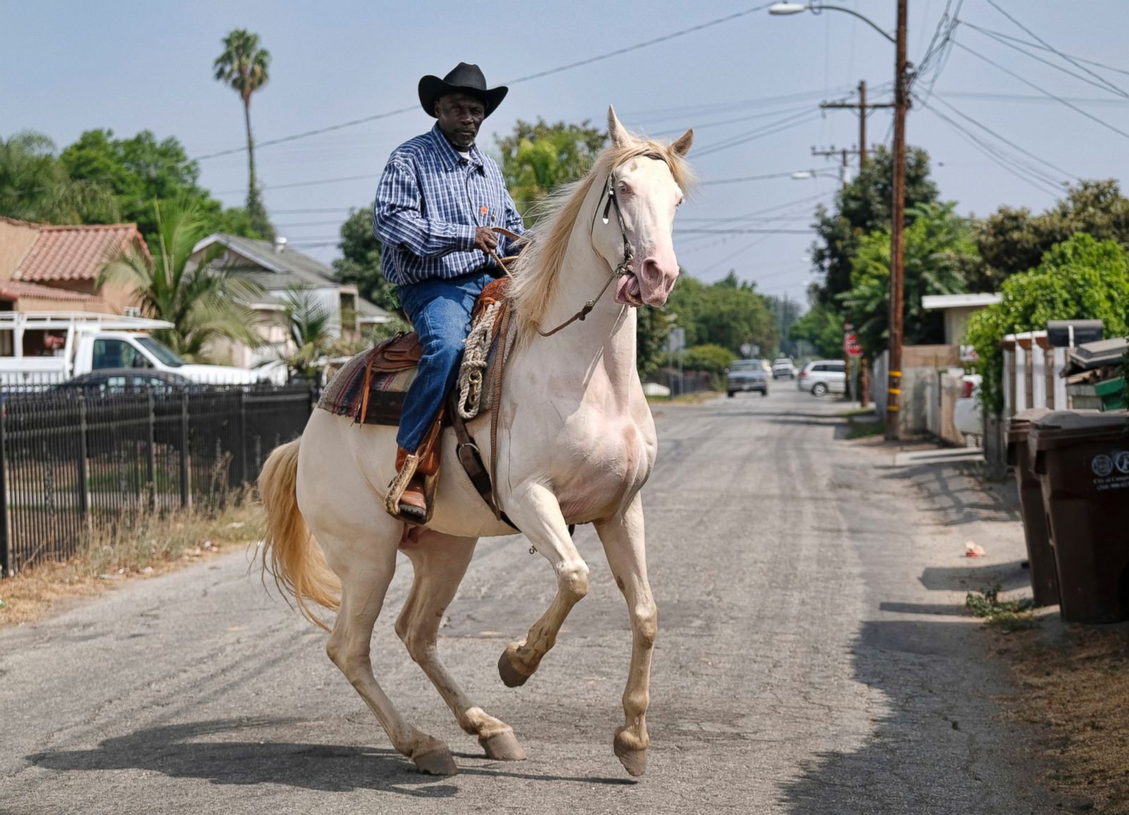 Picture | Urban Cowboys Raise Horses in Compton - ABC News