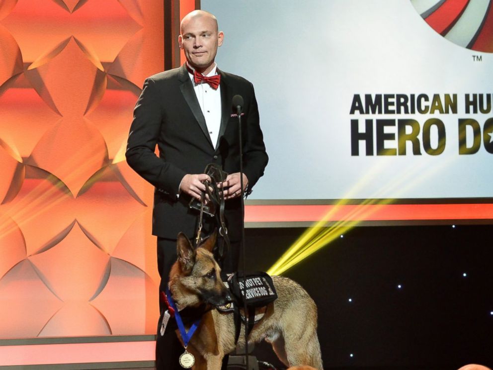 american airlines service dog