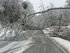 Power Poles Snap, Trees Sag in Tennessee Ice Storm - ABC News