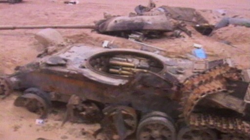 Feb. 28, 1991: Casualties of Gulf War Video - ABC News