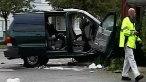 Ford van fatal #8