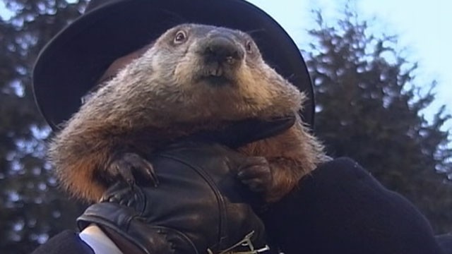 PHOTO: An early spring is on the way, according to groundhog "Punxsutawney Phil." When the Pennsylvania groundhog emerged from his dwelling at Gobbler's Knob on Feb 2, 2013, he did not see his shadow.