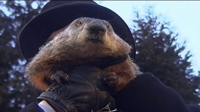 Meet Your Regional Groundhogs Photos - ABC News