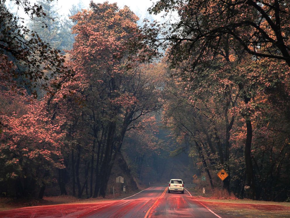 PHOTO: An SUV passes trees covered in fire retardant as wildfires continue to burn, Oct. 12, 2017, near Calistoga, Calif.