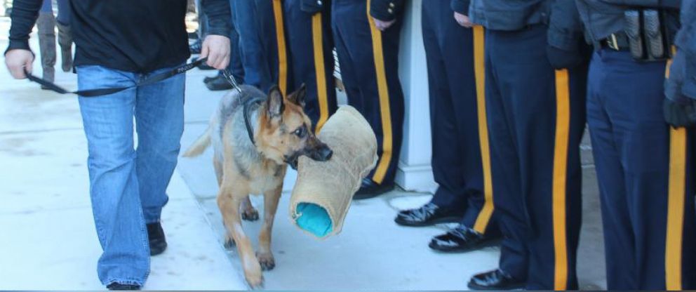 Retired NJ Police Dog Given Touching Farewell - ABC News