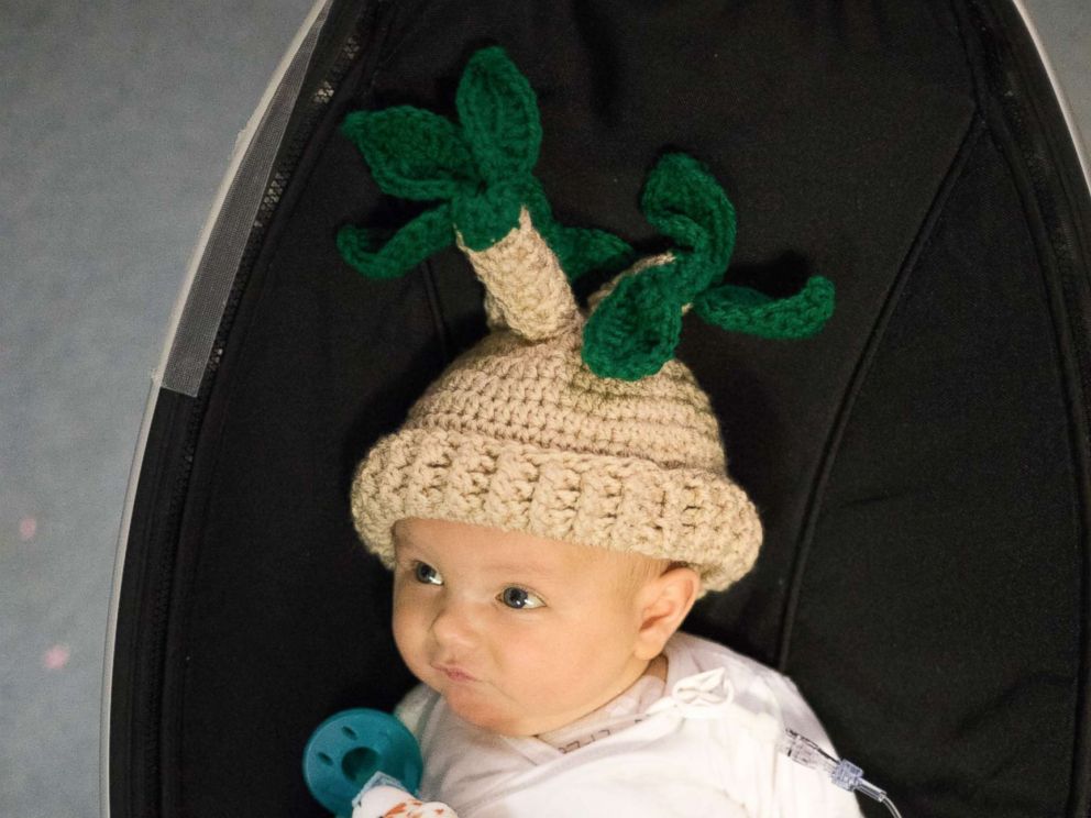 PHOTO: Fankhausers knitted designs inspired by Pinterest for Grant who is dressed as a potted plant for Halloween.